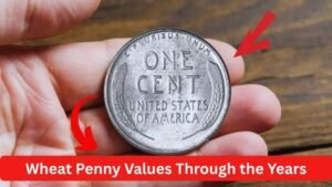 Wheat Penny Values Through the Years: A Collector’s Ultimate Guide